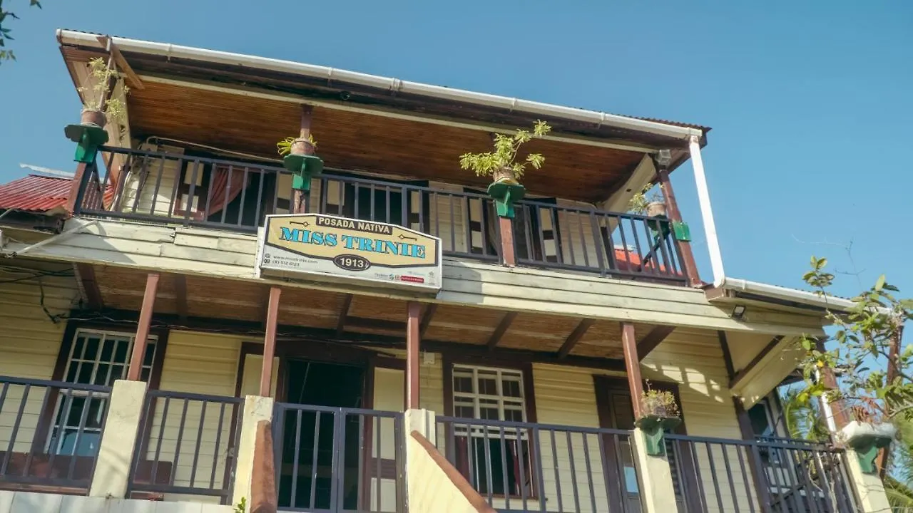 Posada Nativa Miss Trinie San Andrés