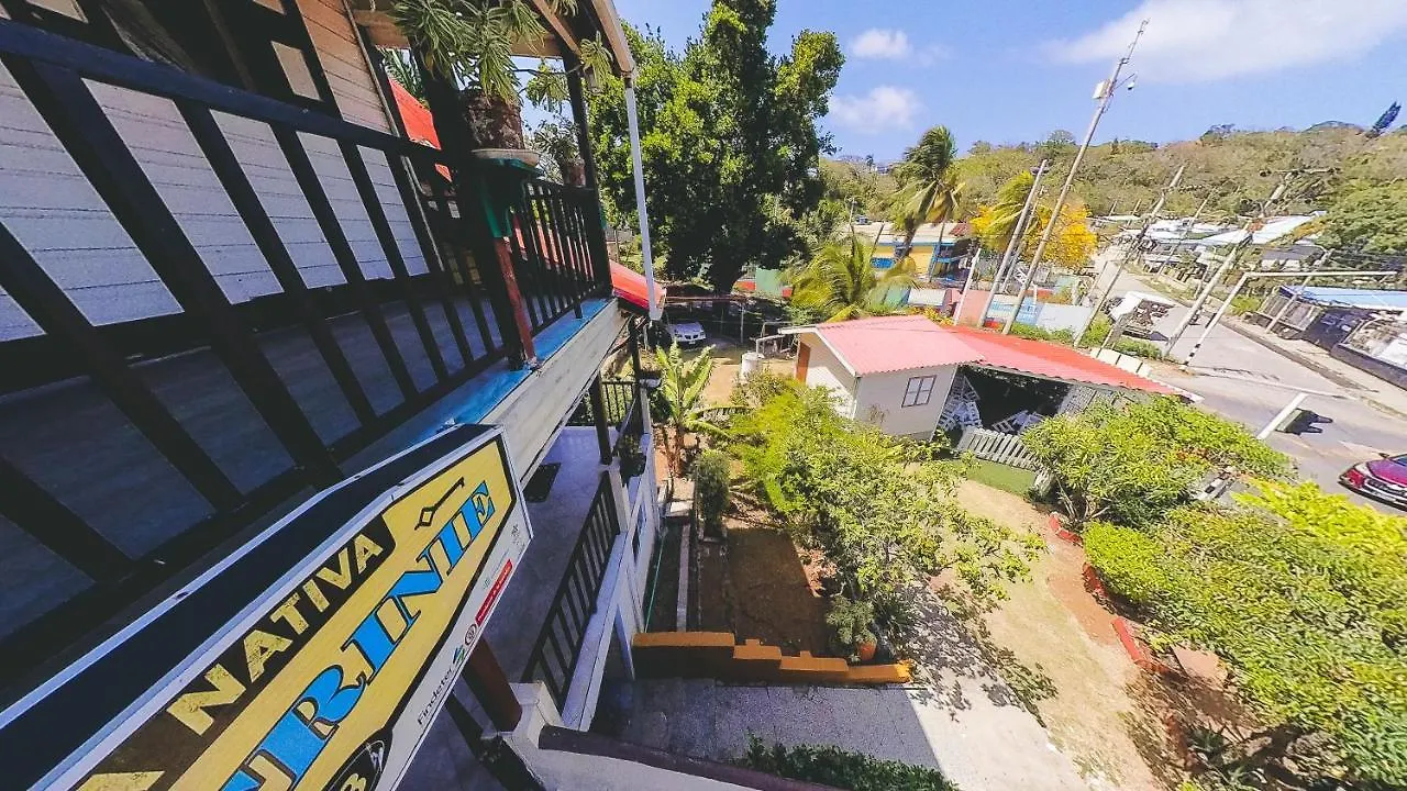 Zajazd Posada Nativa Miss Trinie San Andrés